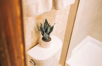 The Craftsman House - 3 min to DT & Falls Park - Foto 22