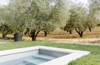 Casa das Nogueiras - Foto 34