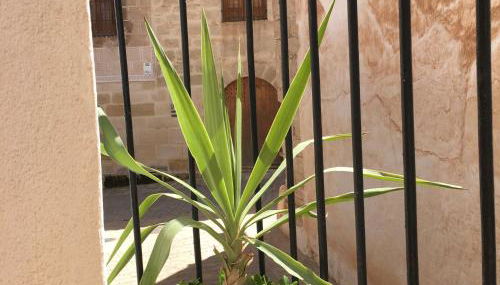 Casa Cervantes - Photo 2