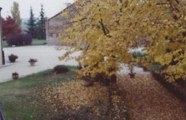 Alla Cedrara agriturismo - Foto 29