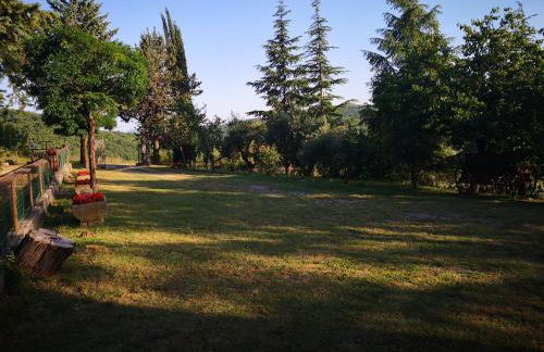 La Giuncaia - Photo 51