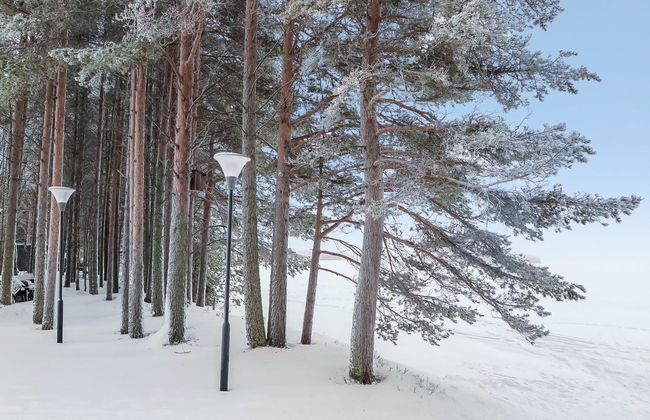 Järvenranta - Foto 26