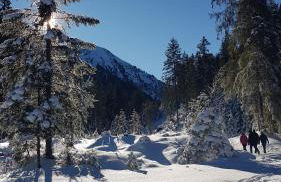 Ferienwohnung Carlina - Foto 27