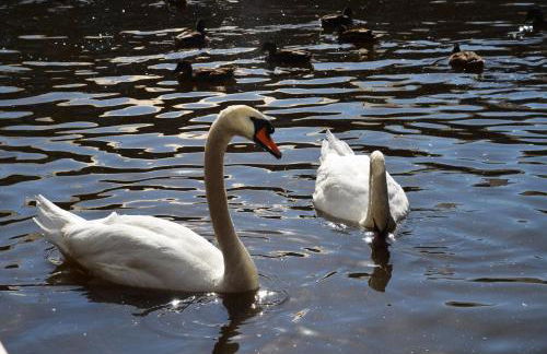 Tewitfield Marina - Foto 23