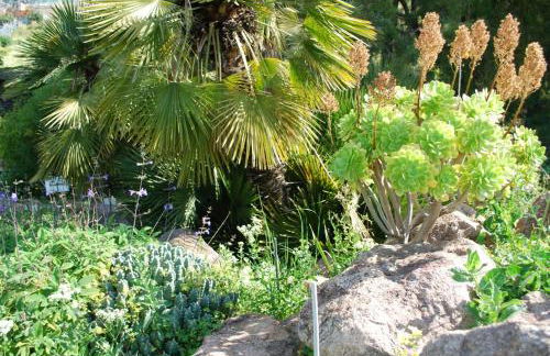 Vue mer et montagne panoramique - Foto 25