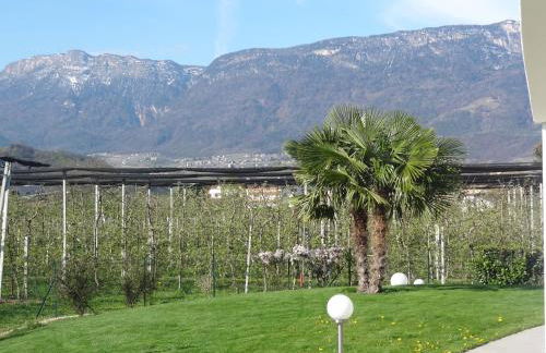 Apartments Klotz - Foto 14