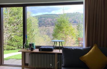 Titisee Haus an der Sonne by Kuckucksnester - Foto 66