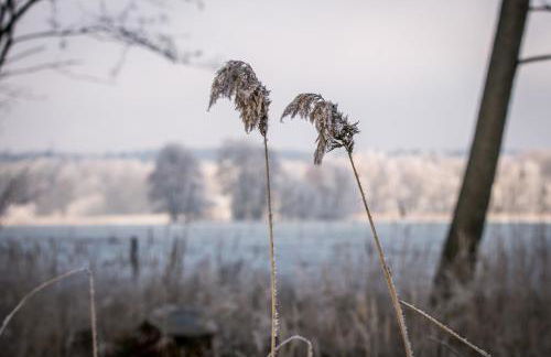 MCDreyer Ferienwohnung - Foto 49