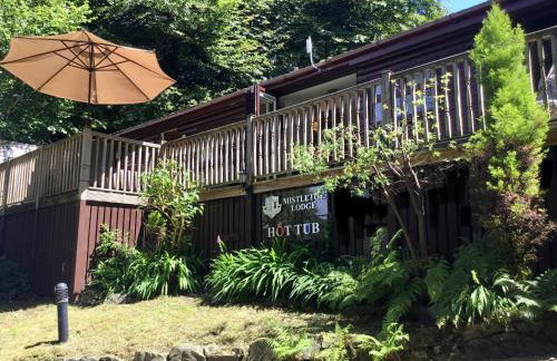 Mistletoe One Luxury Lodge with Hot Tub Windermere - Photo 39