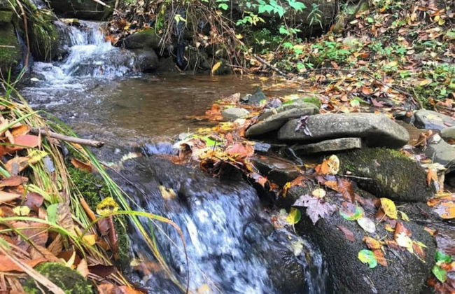 Catskill Retreat - Foto 59