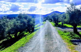 Hacienda Molino Nuevo - Foto 4