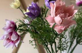 Sasanka LZ - Foto 10