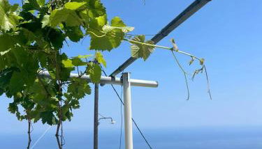 Stamos Paradise View - Foto 5