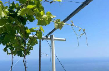 Stamos Paradise View - Foto 5