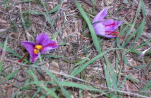 Agriturismo L'Imposto - Foto 28