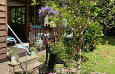 The Cabin, Roundabout Lane - Foto 11