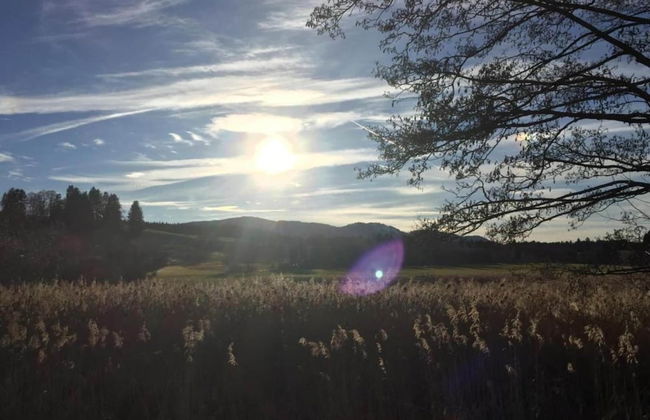 Country Charm, Bad Bayersoien - Foto 35