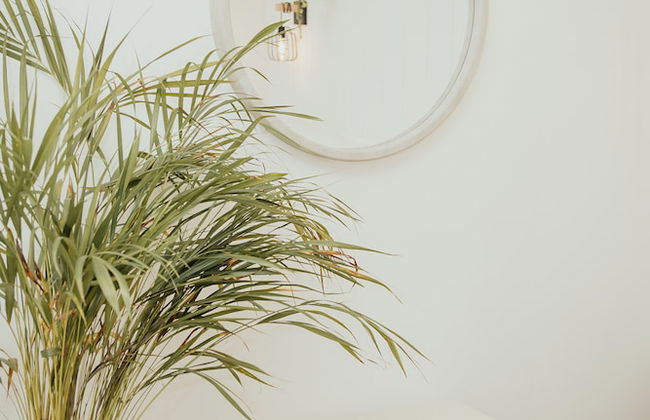 Blvd Sunset... a spot to relax - Foto 4