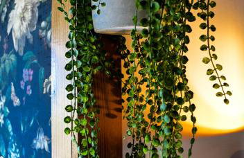 The Tower, Moray Firth Holiday Home - Foto 27