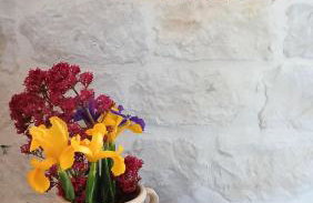 Trullo Pettirosso Ostuni - Foto 17