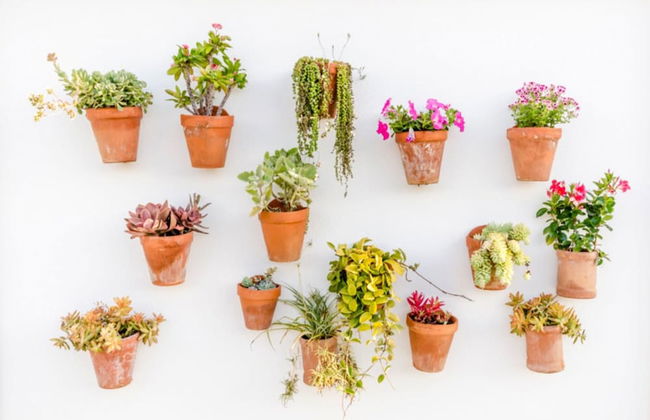 Apartamentos Blancala - Foto 25