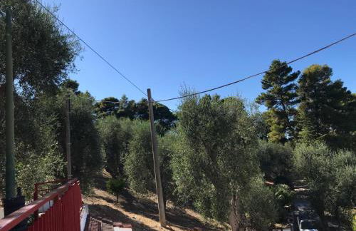 VILLA PINETA VISTA MARE - Foto 52