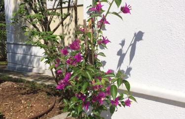 Villa Liana - Photo 40