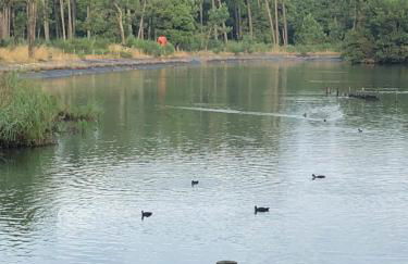 BeachLiving Cortegaça - Foto 53