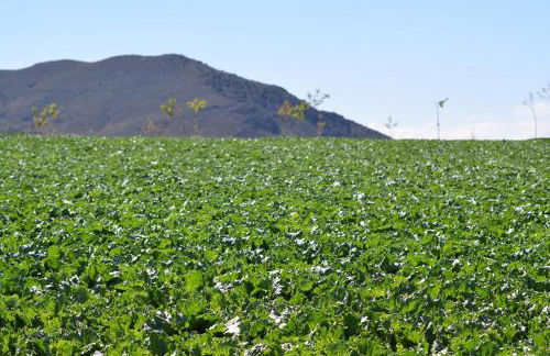 Cuevas Helena - Foto 72