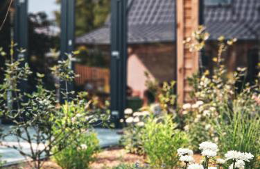 Nasze Calle - Foto 24