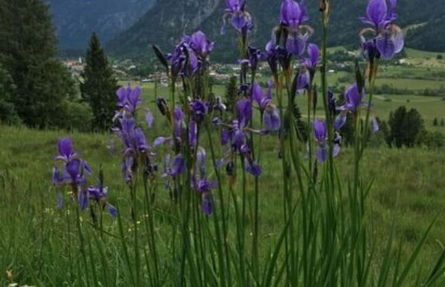 Holiday Home in Oberammergau - Photo 27
