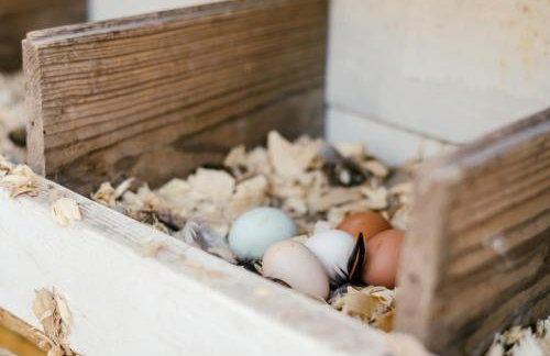 Schoaf Cottage at Wrenwood Ranch - Foto 22