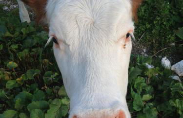 Casa al Moro - Foto 55