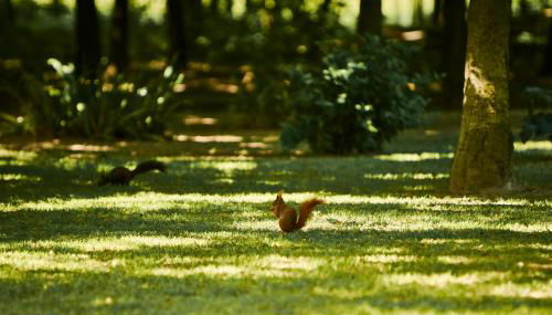 Al Canton Agriturismo di Design - Foto 4, Garden, Garden view
