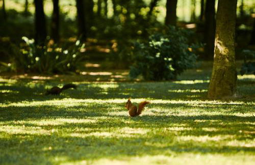 Al Canton Agriturismo di Design - Foto 4