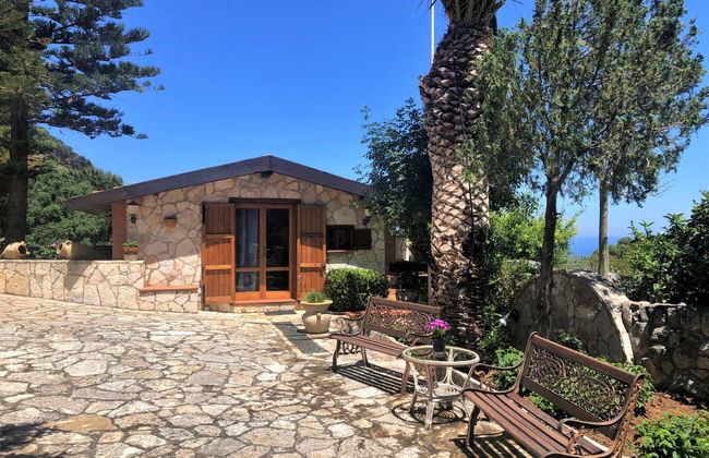 Melograno di Patrizia - Foto 14