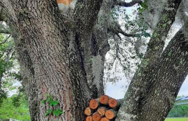 Little Ridge Ranch-East House Quiet Country Getaway-Pet Friendly! - Foto 22