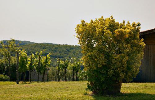Tenuta il Poggetto - Foto 63