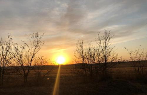 Casa D' Oliveira - Foto 42