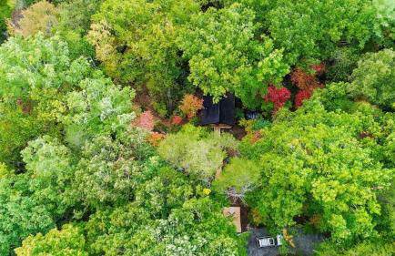 Private Modern Treehouse Retreat in the Forest - Foto 21