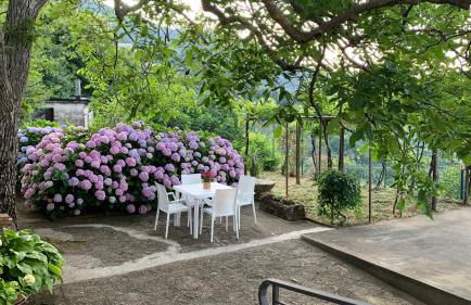 Il Ciliegio - Photo 16