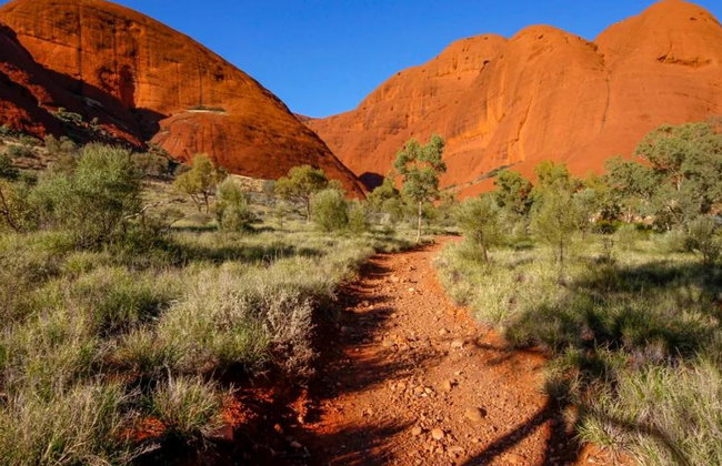 Kata Tjuta and Valley of the Winds - Full-Day Small Group Tour - Photo 7