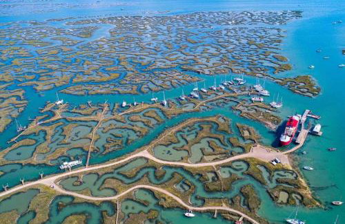 The Wobbin, Remote, Comfort, Sea Views and the beautiful Essex Marshes - Foto 40