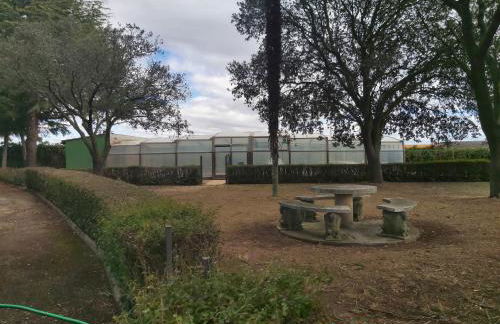 Finca Llamazares - Foto 17