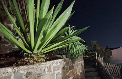 Villa de Bruma Faial da Terra - Photo 15