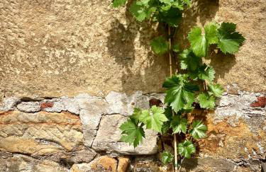 Löwenherz Appartements - Foto 68