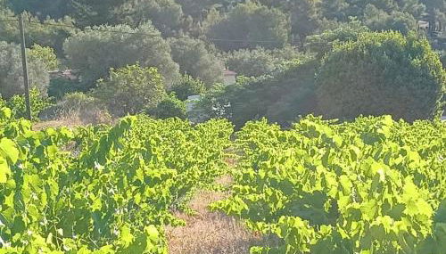 Maison à la Naronne - Foto 1