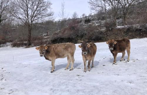 CAL RAMUNDAINA - Foto 35