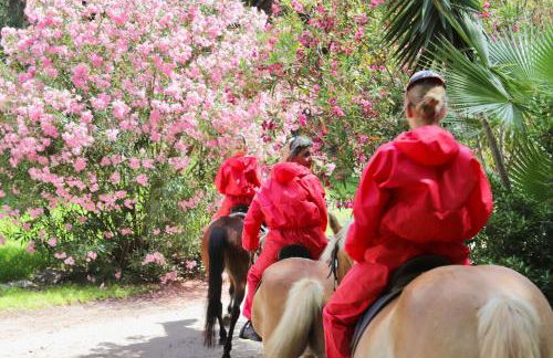 Residence with swimming-pool in Arborea just 300 meters from the beach - Foto 41