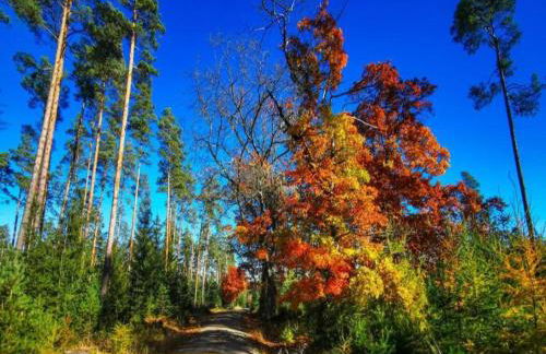 Small and Cozy Apartment in Frauenwald near Forest - Foto 80
